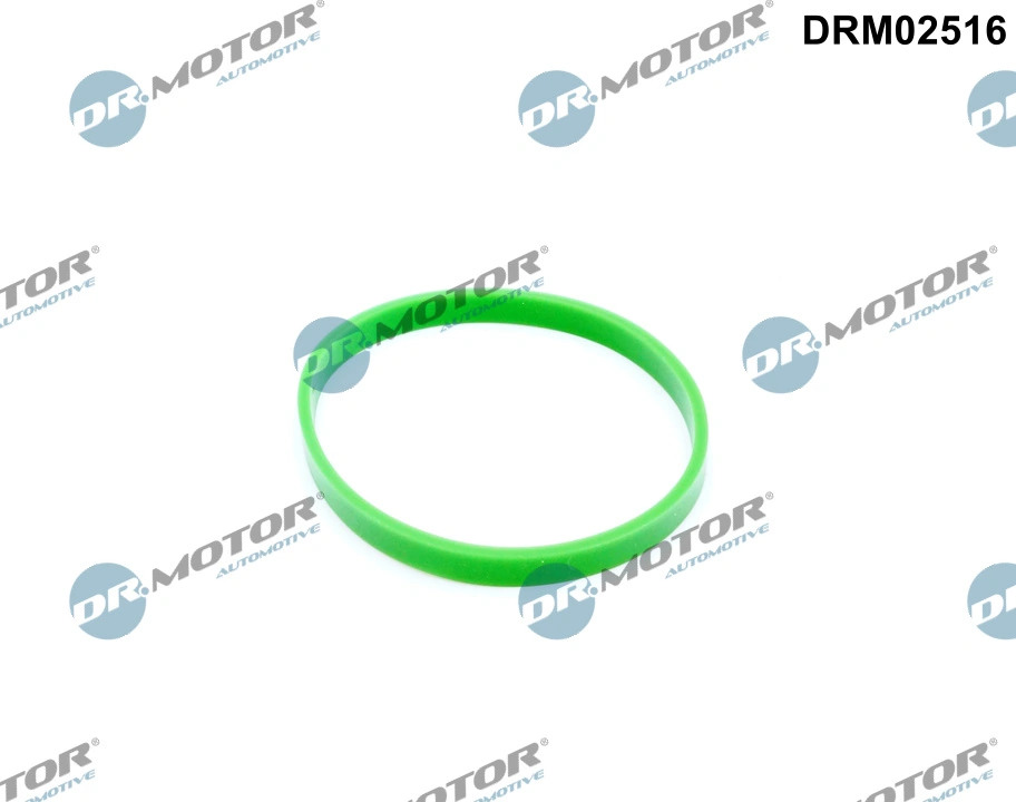 Gasket, intake manifold